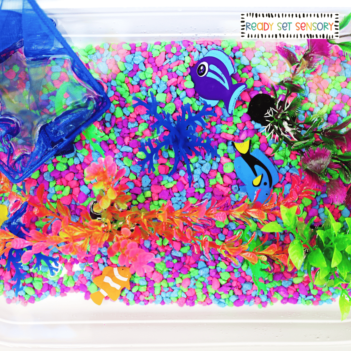 Aquarium sensory bin activity with fish, plants, and stones