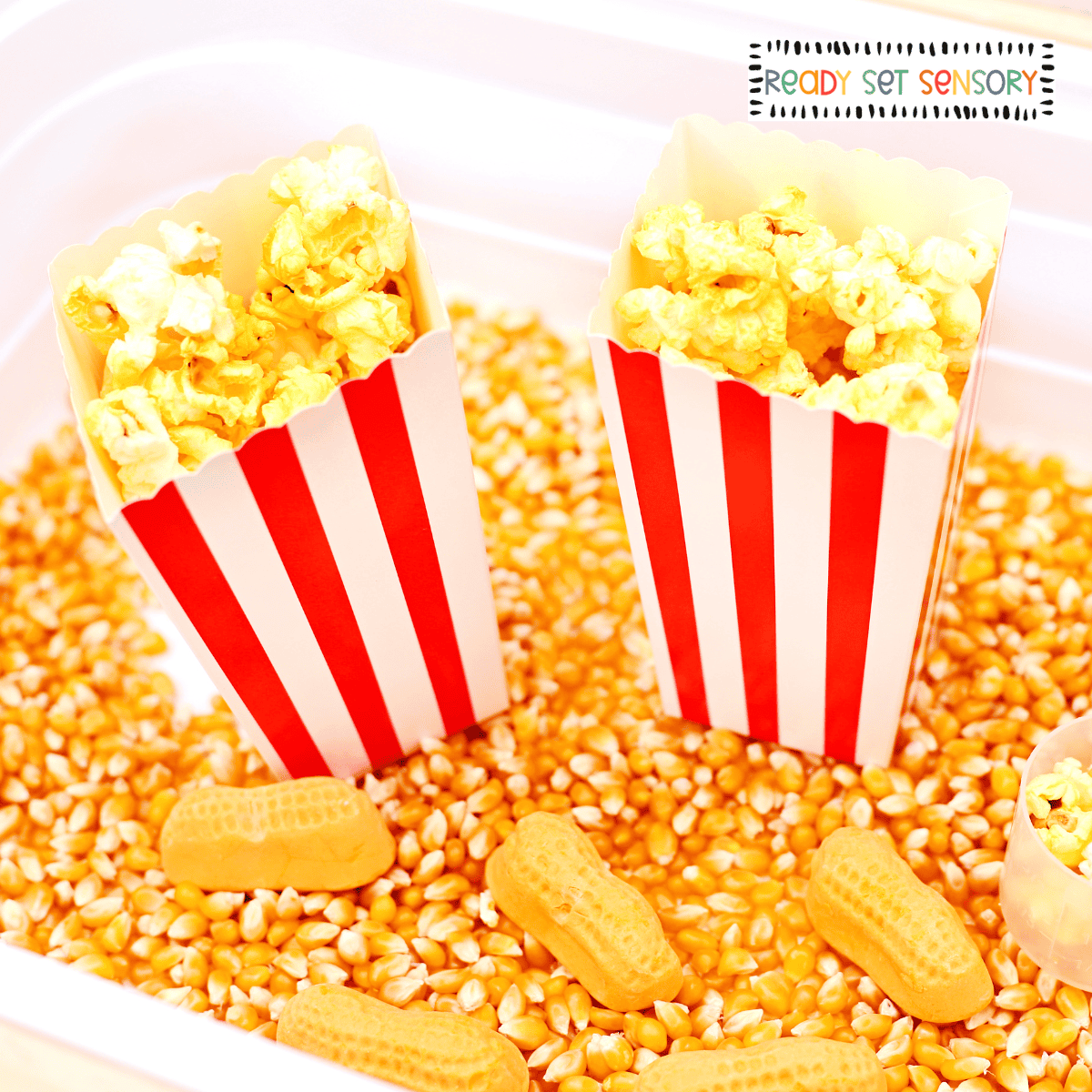 Circus sensory bin with popcorn boxes, peanuts, and kernel sensory base