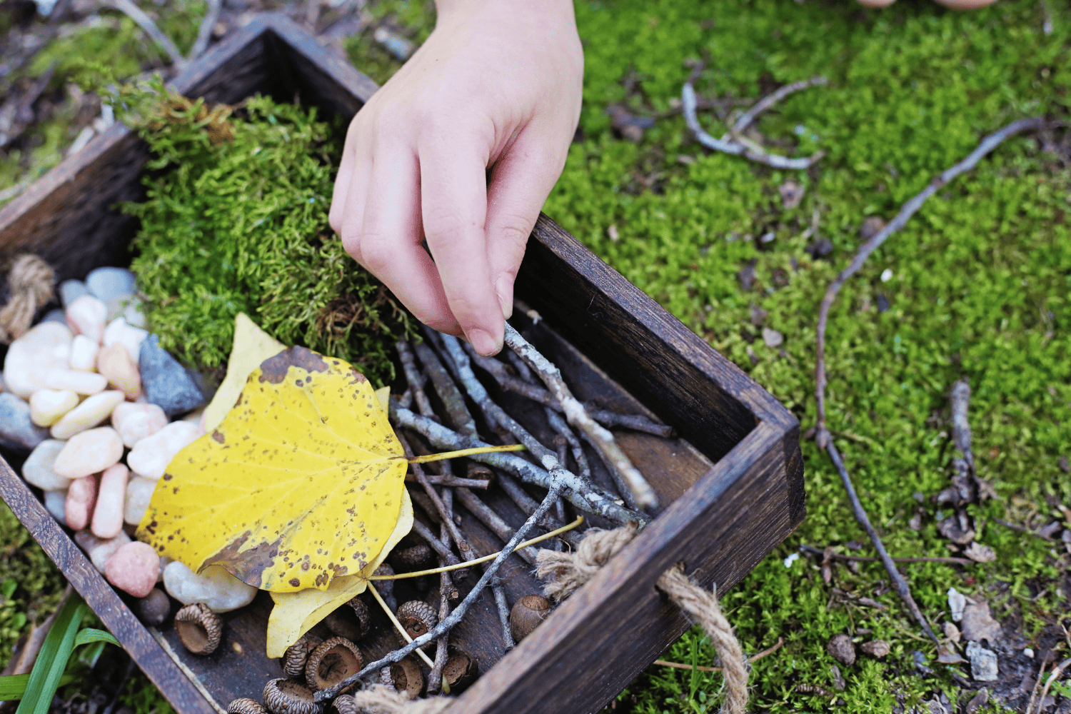 DIY nature sound sensory bottles made with natural loose parts