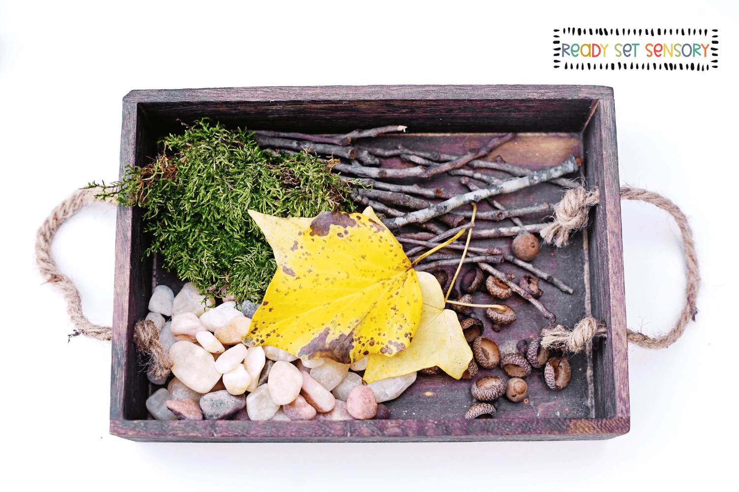 Natural materials for making nature sound sensory bottles