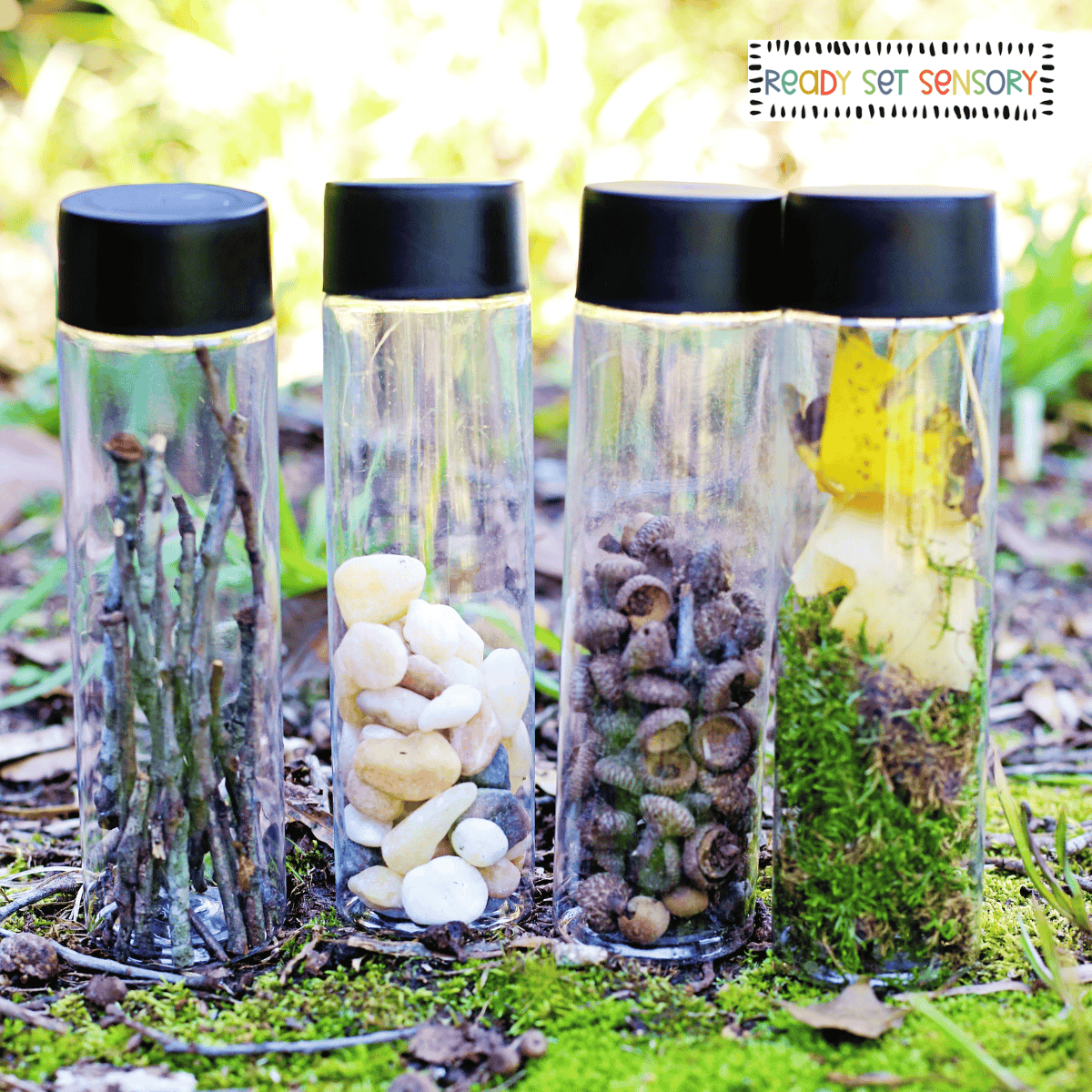 Nature sound sensory bottles filled with sticks, stones, moss, and acorns