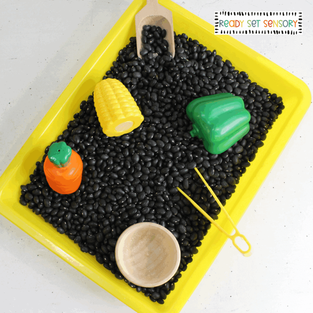 Veggie sensory bin activity for toddlers with black beans and toy vegetables