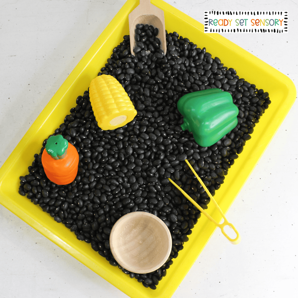 Veggie sensory bin activity for toddlers with black beans and toy vegetables