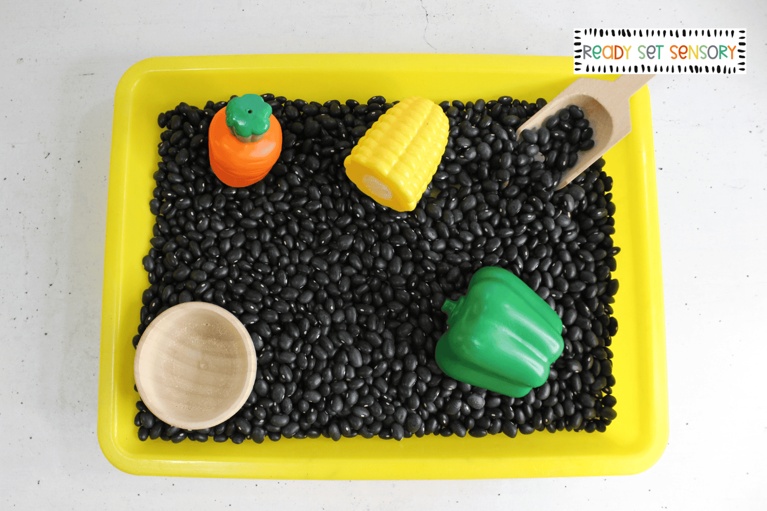 Veggie sensory bin supplies including black beans and play vegetables