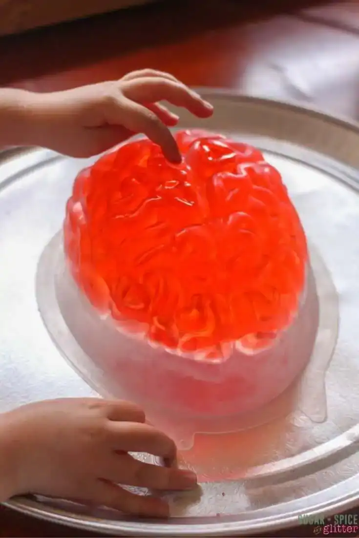 Jell-O Brain Sensory Exploration