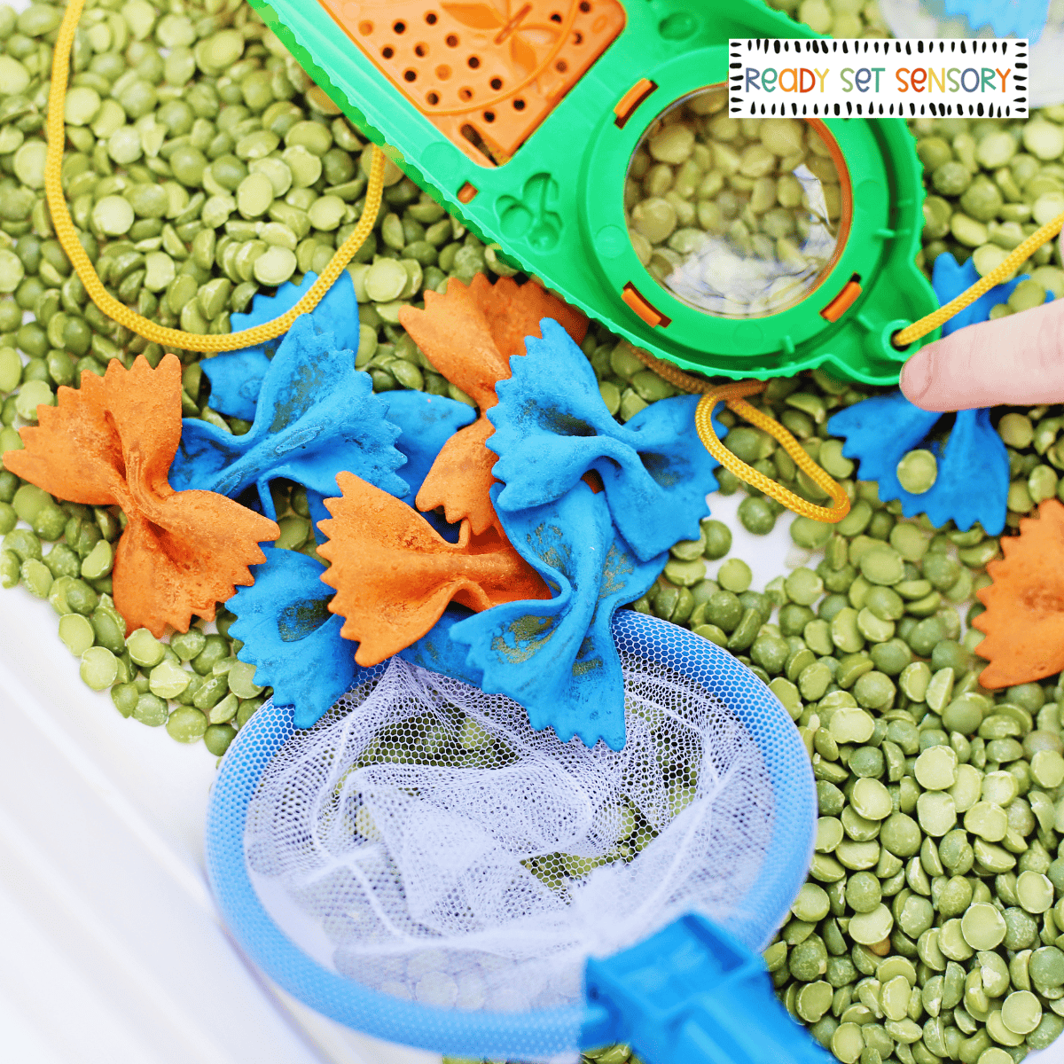 Close up of butterfly pasta and net in catching butterflies sensory bin