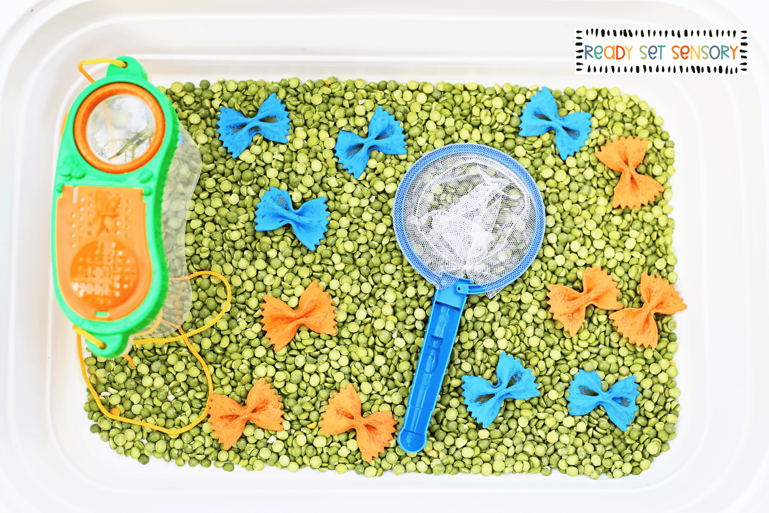 Catching butterflies sensory bin with green lentils, toy net, and colorful pasta butterflies