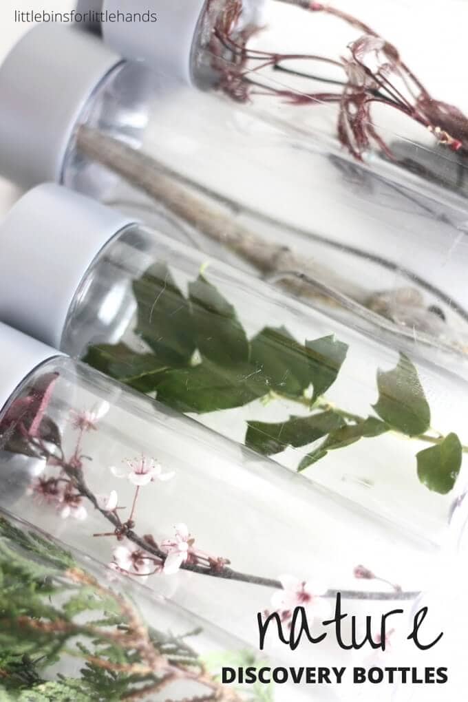 Nature Sensory Bottles