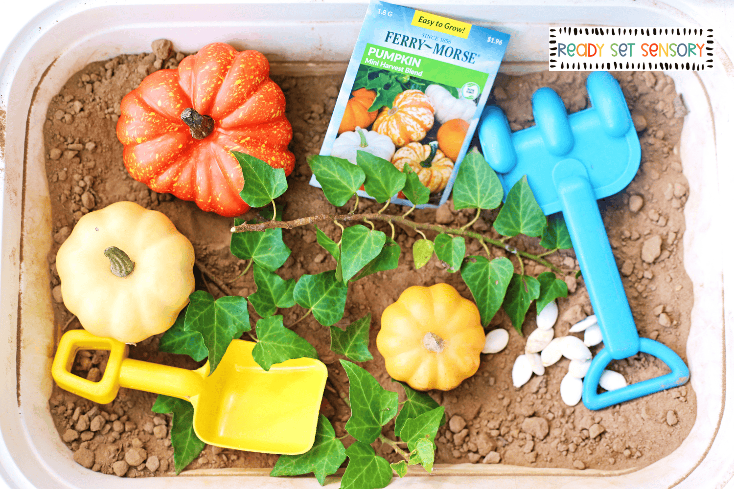 Pumpkin patch sensory bin setup with mini pumpkins, soil, and garden tools