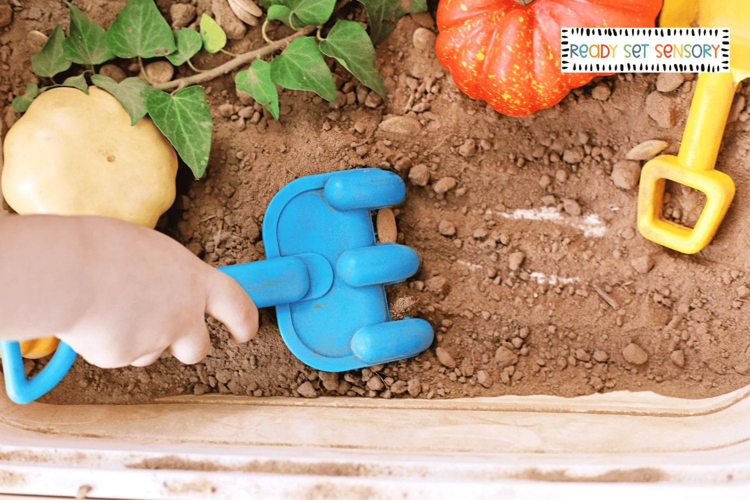 Child using rake in pumpkin patch sensory bin with soil and mini pumpkins
