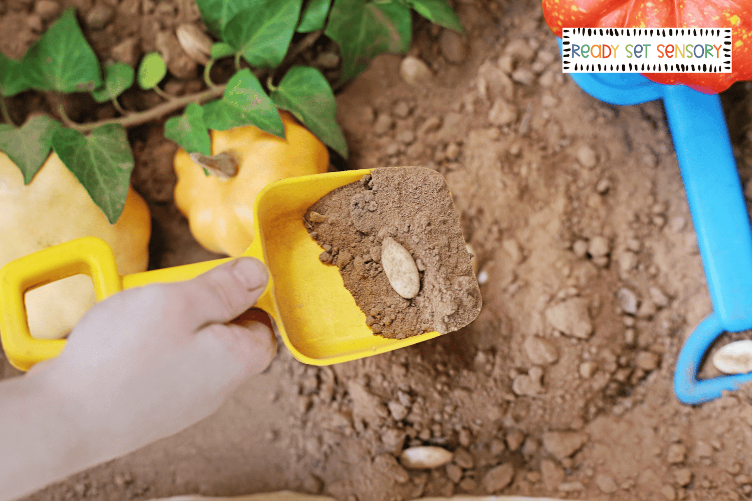 Toddler scooping soil and pumpkin seeds in fall sensory bin activity