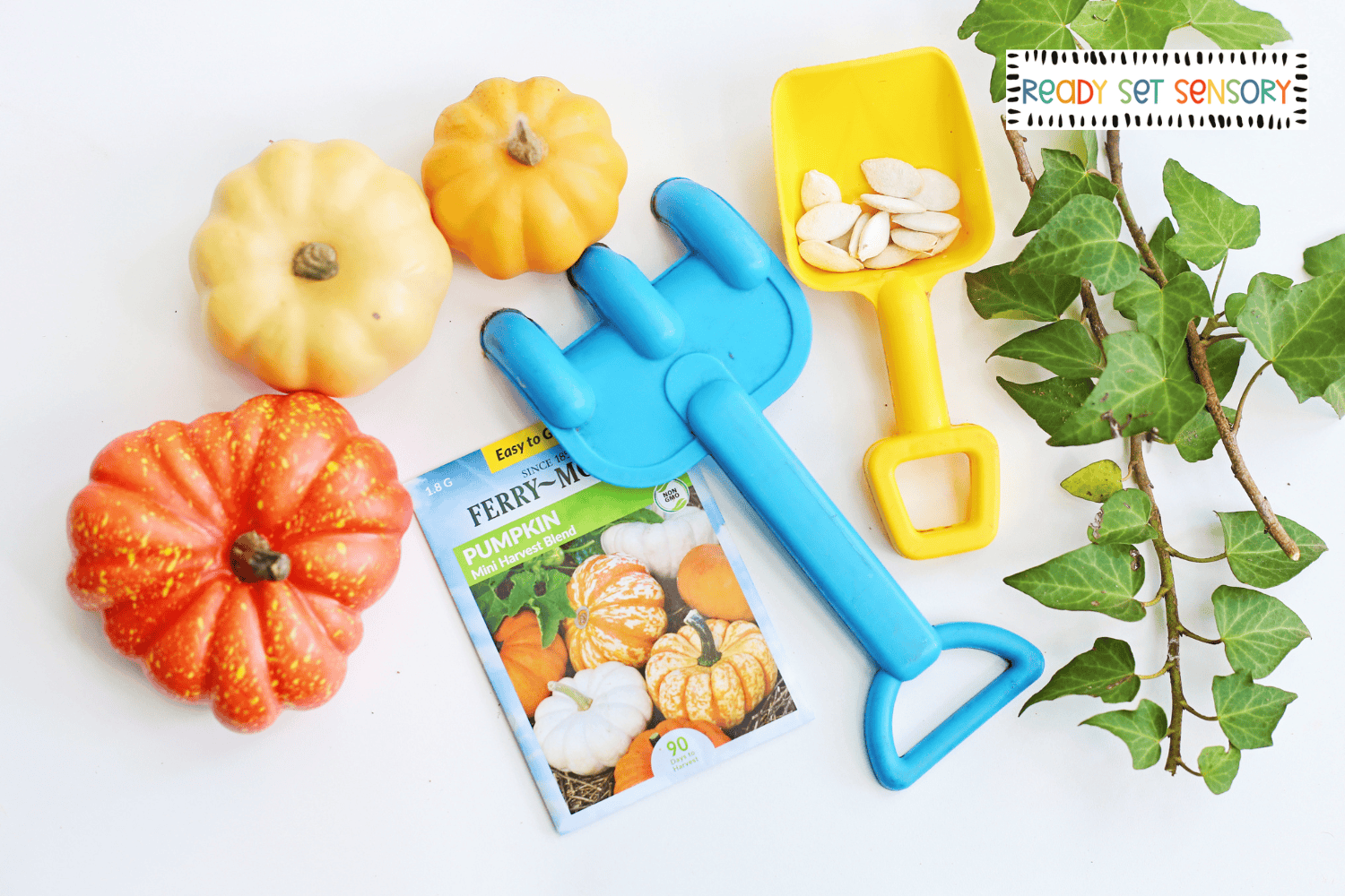 Pumpkin patch sensory bin supplies with mini pumpkins, seeds, shovel, and leaves
