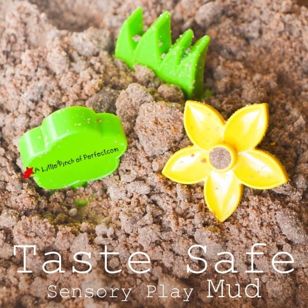 Taste-Safe Mud Play Recipe