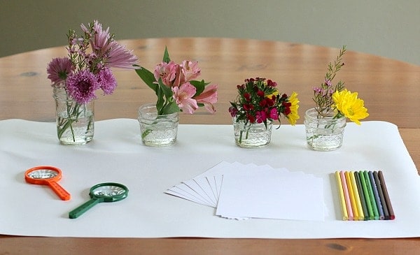 Flower Exploration Center
