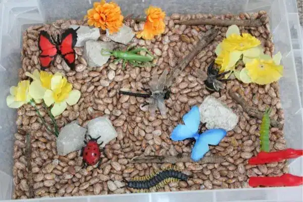 Insect Sensory Bin