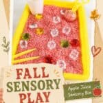 Storing a Fall Apple Juice Sensory Bin (Easy & Cheap!)