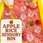 Fall Apple Juice Sensory Bin (Easy & Cheap!) activity card