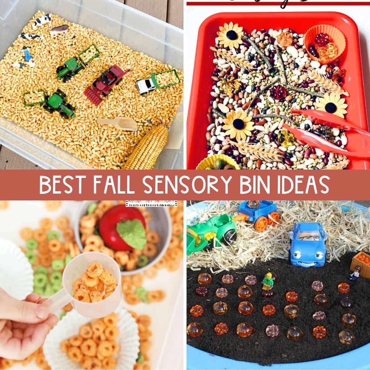 25+ Fall Sensory Bins To Make This Year!