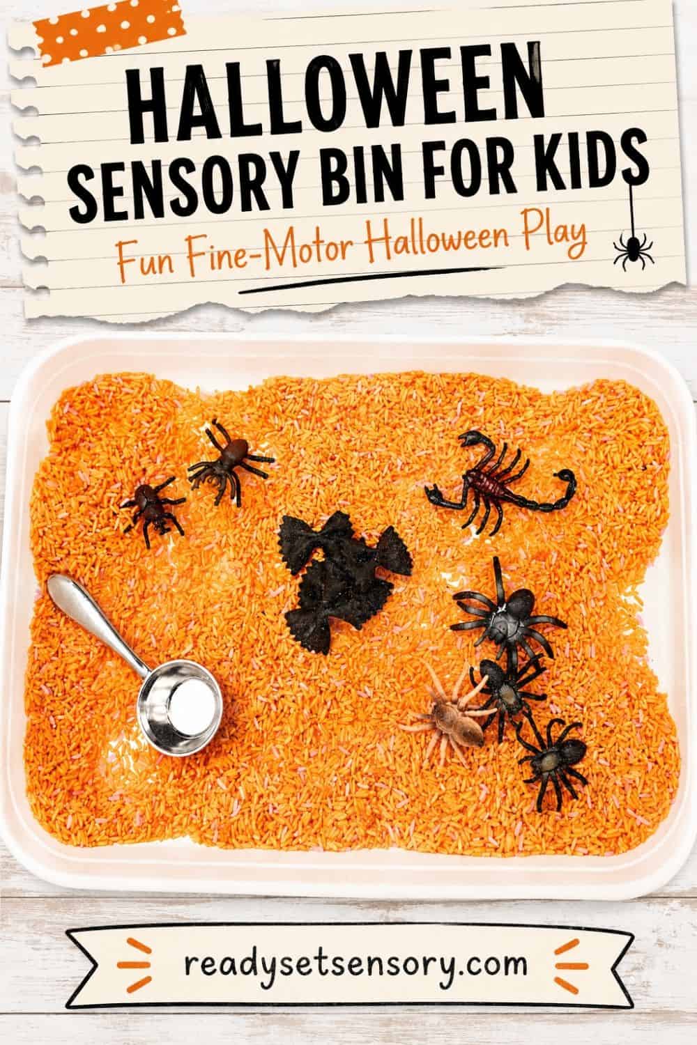 Easy DIY Halloween Spider Sensory Bin variation idea