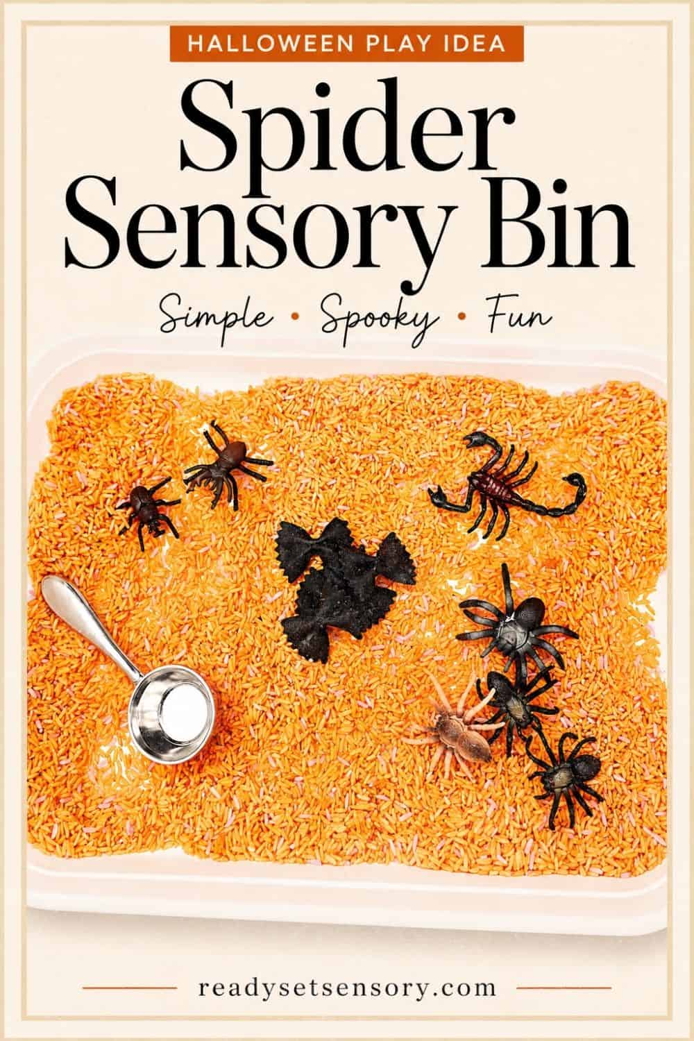 Easy DIY Halloween Spider Sensory Bin activity card