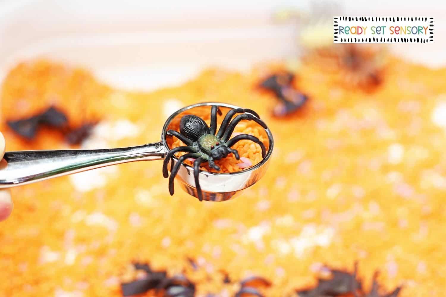 Step 3 of setting up a Easy DIY Halloween Spider Sensory Bin