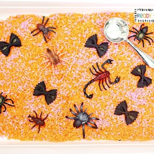 Easy DIY Halloween Spider Sensory Bin