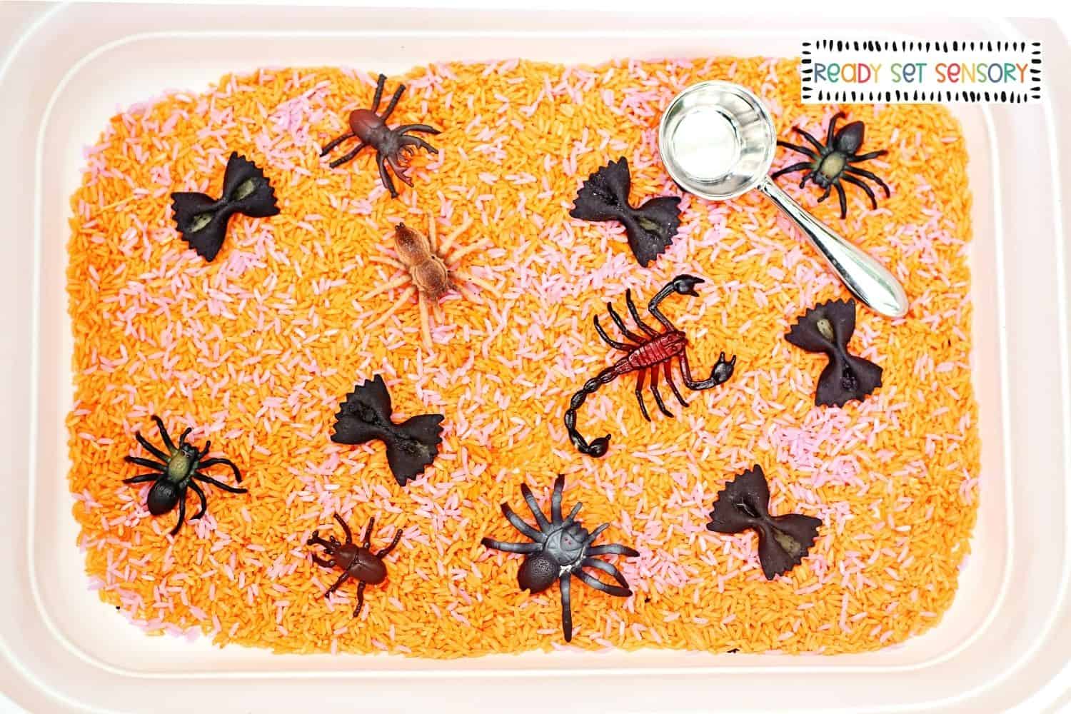 Easy DIY Halloween Spider Sensory Bin