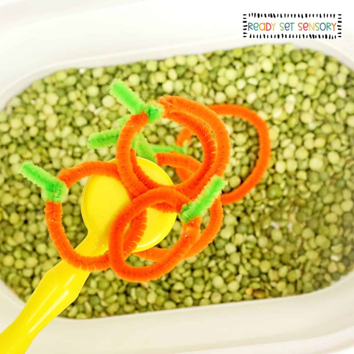 Magnetic Pumpkin Patch Sensory Bin
