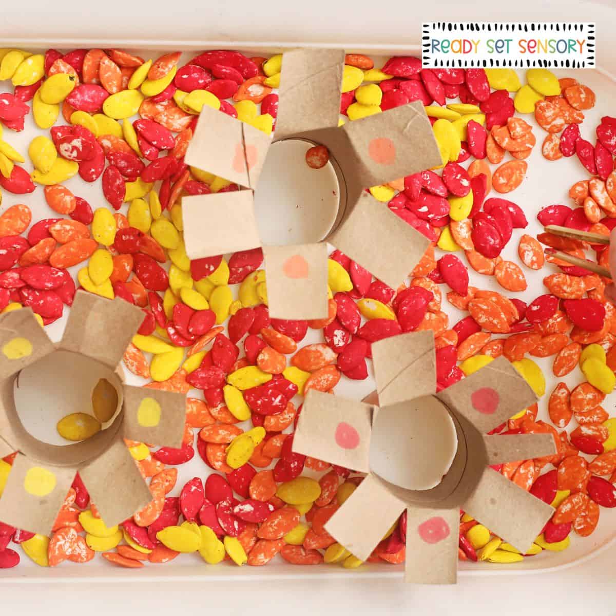 Pumpkin Seed Fall Sensory Bin (+ How to Dye Pumpkin Seeds)