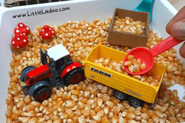 Fall Sensory Bin by Little Ladoo