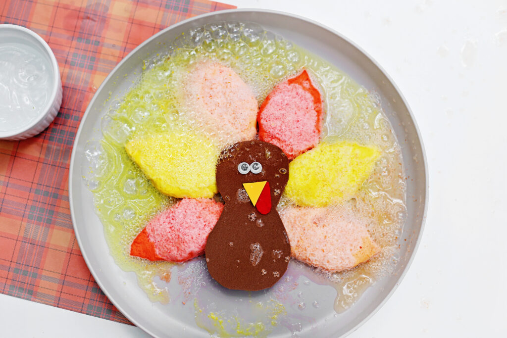 Fizzing Turkey Feather Experiment by Cultivating Brilliant Minds