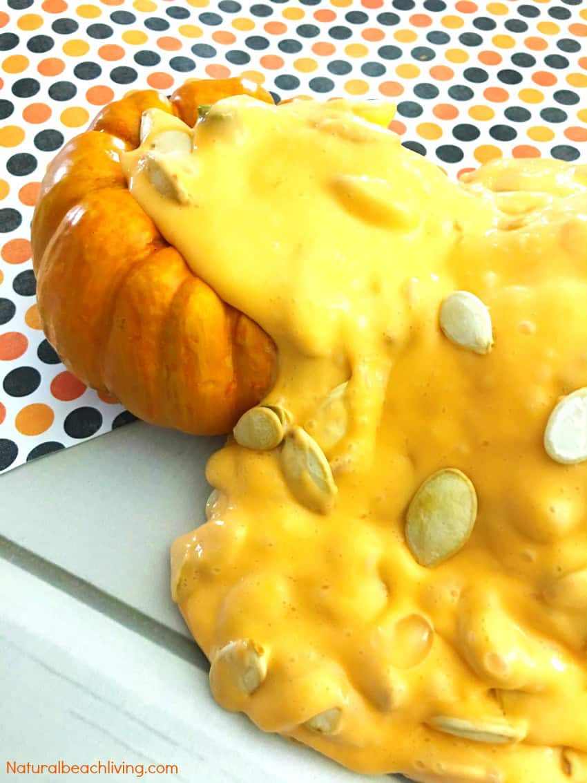 Pumpkin Jiggly Slime by Natural Beach Living