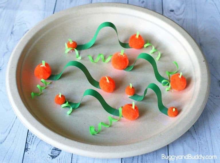 Pumpkin Patch Paper Plate Marble Maze by Buggy and Buddy