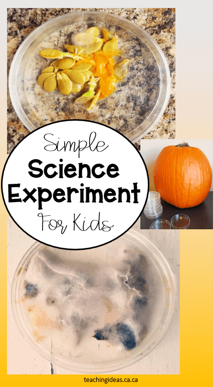 Pumpkin Science Experiment by Hands On Teaching Ideas
