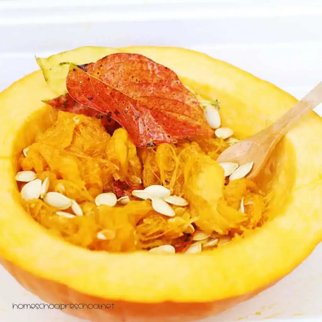 Pumpkin Soup Sensory Bin by Homeschool Preschool