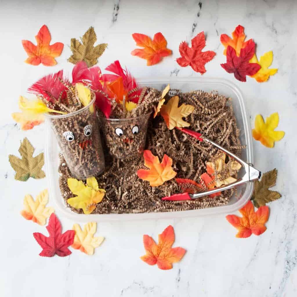 Turkey Sensory Bin by Two Pink Peonies