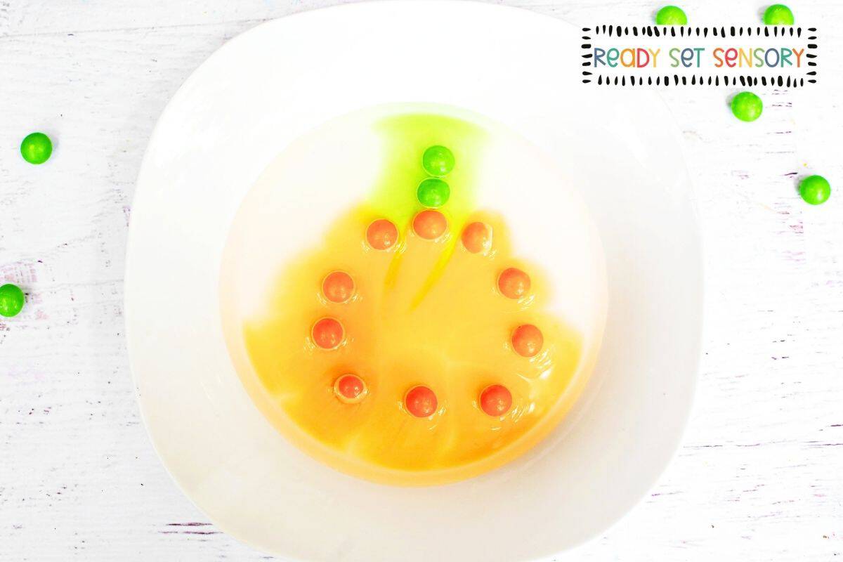 Pumpkin Skittles Experiment 10
