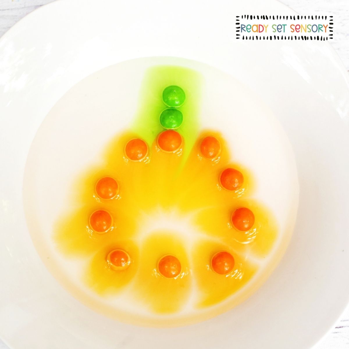 Pumpkin Skittles Experiment