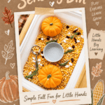 Thanksgiving Sensory Bin With Corn and Mini Pumpkins - 11