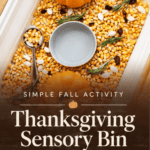 Thanksgiving Sensory Bin With Corn and Mini Pumpkins - 14