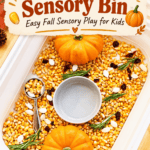 Thanksgiving Sensory Bin With Corn and Mini Pumpkins - 17