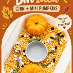 Thanksgiving Sensory Bin With Corn and Mini Pumpkins - 6