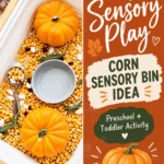 Thanksgiving Sensory Bin With Corn and Mini Pumpkins - Clean Up and Storage