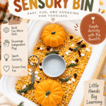 Thanksgiving Sensory Bin With Corn and Mini Pumpkins - Skills Kids Build