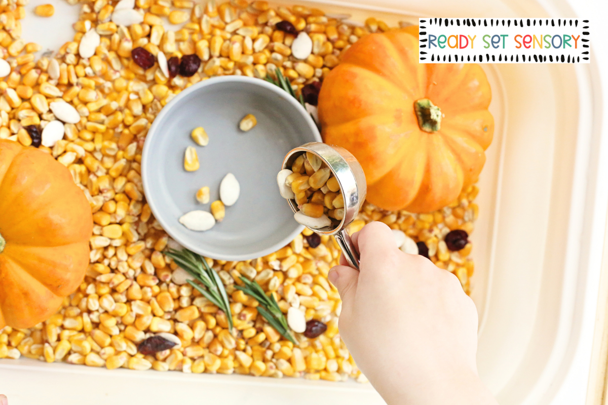 Thanksgiving Sensory Bin With Corn and Mini Pumpkins - Step 2
