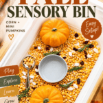 Thanksgiving Sensory Bin With Corn and Mini Pumpkins - Tips and Variations