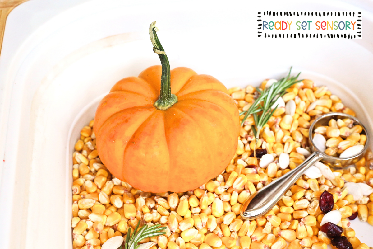 Thanksgiving Sensory Bin With Corn and Mini Pumpkins - Ways to Play