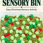 Grinch Sensory Bin - 10