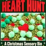 Grinch Sensory Bin - 11