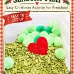 Grinch Sensory Bin - 12